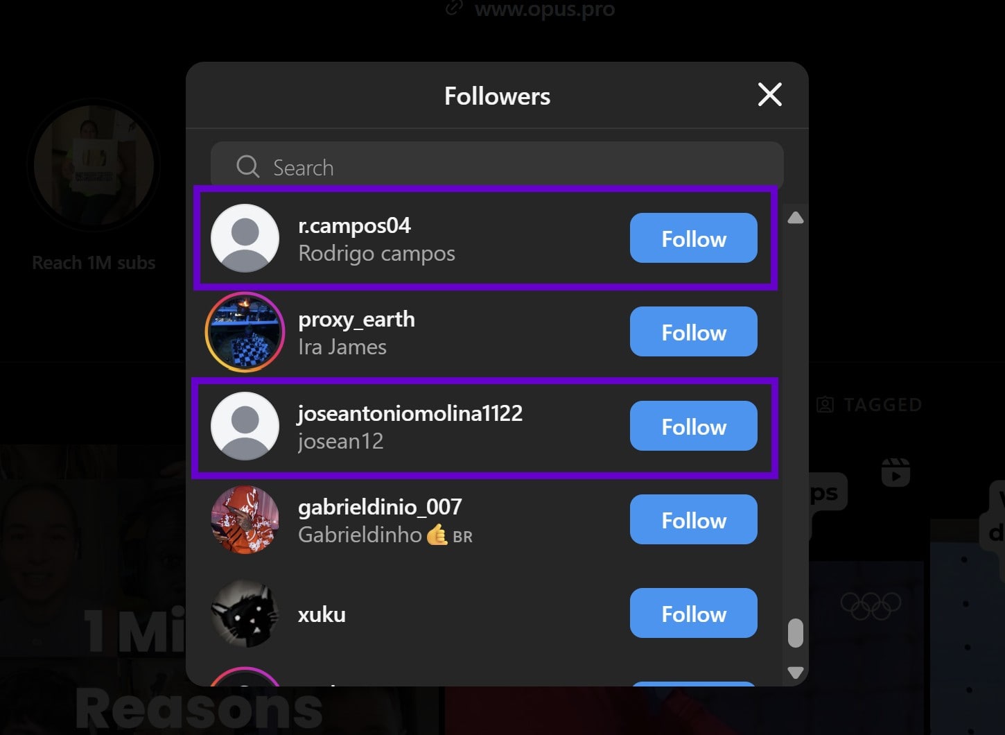 Example of fake Instagram followers