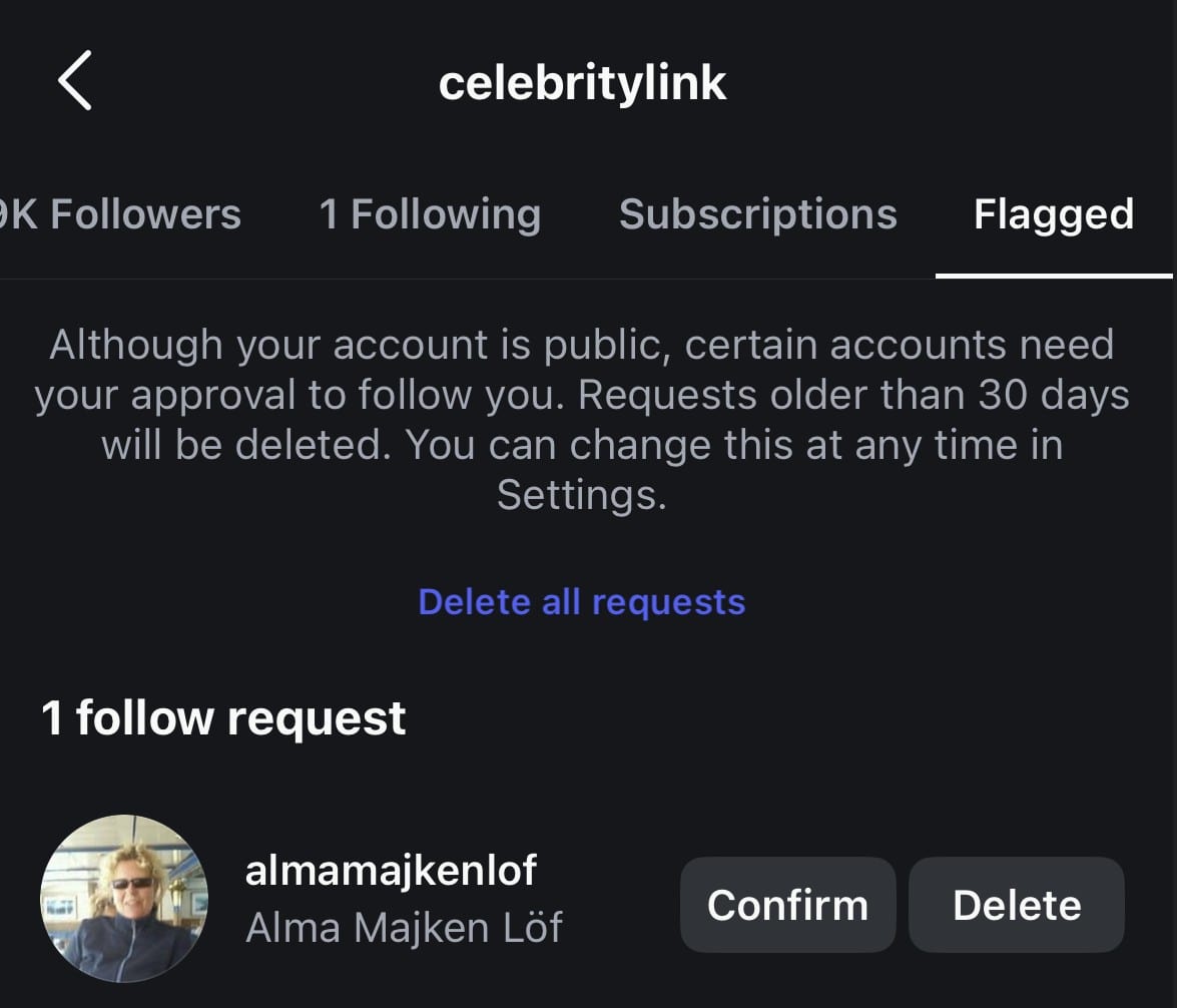 Flagged accounts on Instagram