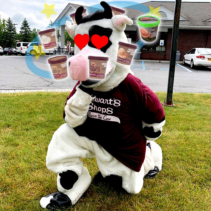 Stewart's Shops caption contest